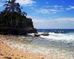 Paisaje 8