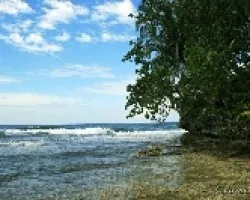Paisaje 9