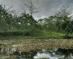 Ciénaga HDR
