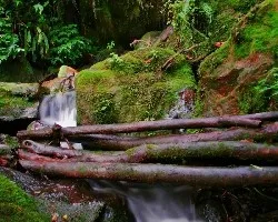 Caida de Agua