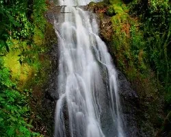 Cascada las Bromelias