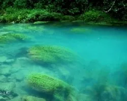 Laguna Azul en Rio Celeste