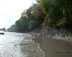 Tarde en Manuel Antonio