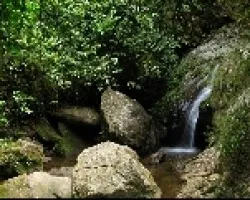 Quebrada 1