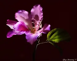 Luces y sombras