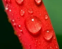 Gotas2