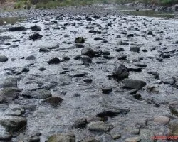 Piedras en el agua