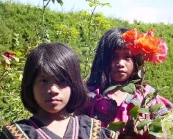 Ni?as Indigenas 