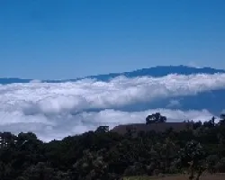 Nubes