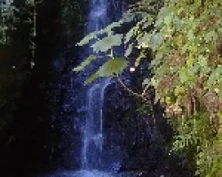 Catarata sendero Noche Buena