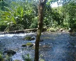 Rio Suerre