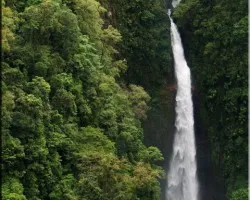 catarata de cinchona