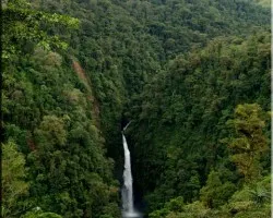 catarata de cinchona