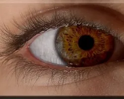 ojo