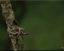 recuerdos de un pasado