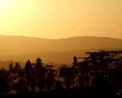 atarde