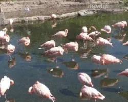 Reflejados y durmiendo