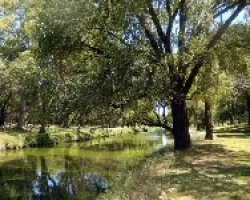 Rio Luj?n