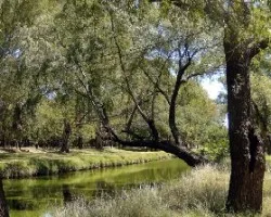 Rio Luj?n