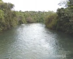 Camino a las cataratas