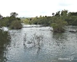 Camino a las cataratas 2