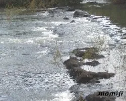 Camino a las cataratas