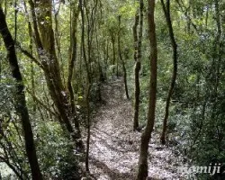 Sendero