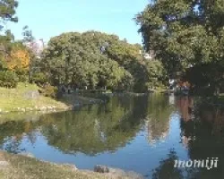 Reflejos