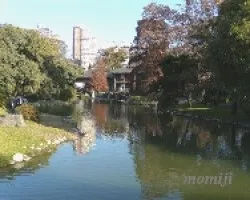 Reflejos