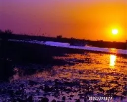 Atardecer en el Iber?