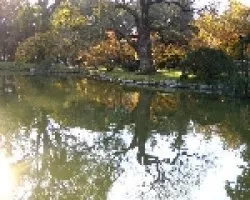 Reflejos