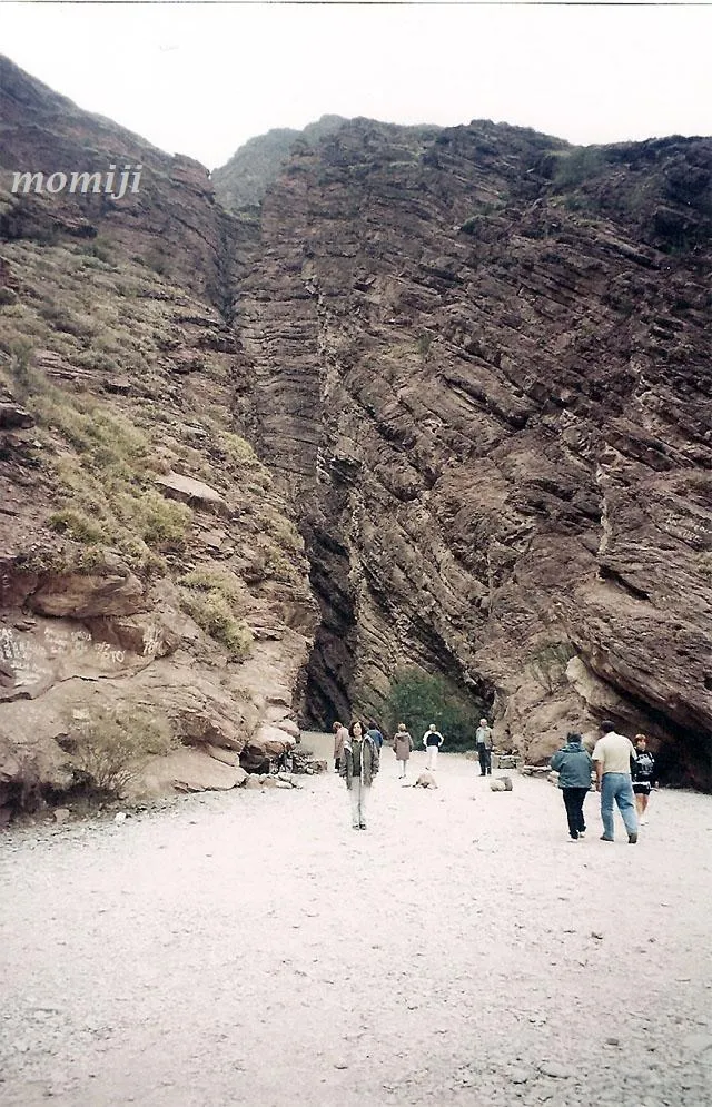 Foto