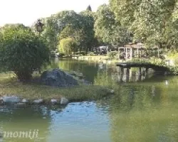 Reflejos
