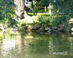 Reflejos