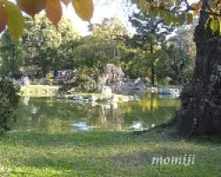 Reflejos