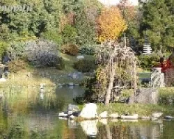 Reflejos