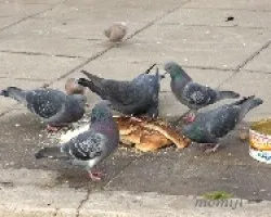 Desayuno entre amigos
