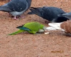 Desayuno entre amigos