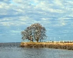 Rio de La Plata