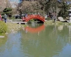 Reflejos