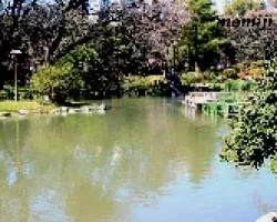 Reflejos