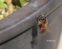 Subiendo