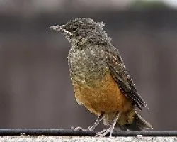 Muy quieto