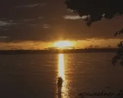 atardecer en el Amazonas