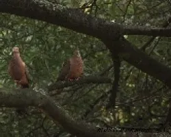 Desde mi ventana