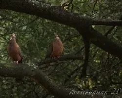 Desde mi ventana