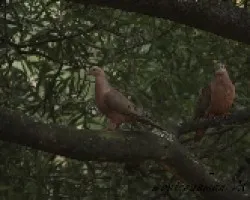 Desde mi ventana
