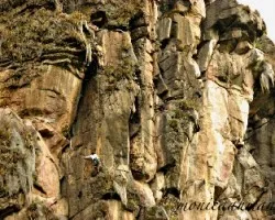 rocas de Suesca