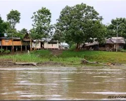 A orillas del Amazonas