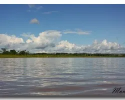 A orillas del Amazonas